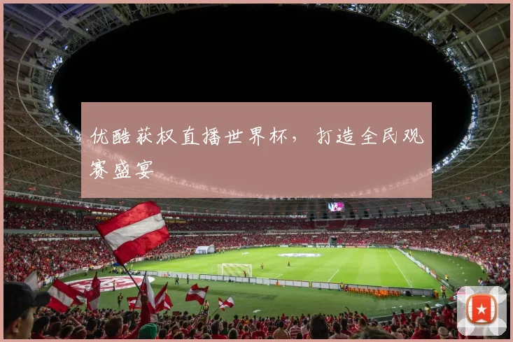 优酷获权直播世界杯，打造全民观赛盛宴