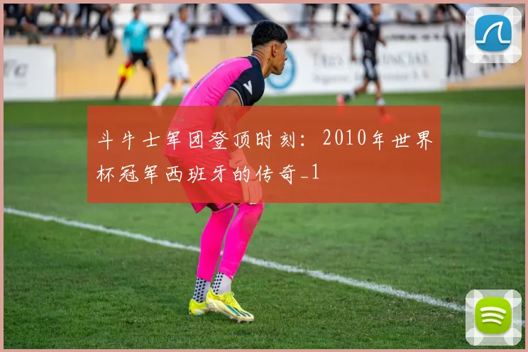 斗牛士军团登顶时刻：2010年世界杯冠军西班牙的传奇_1