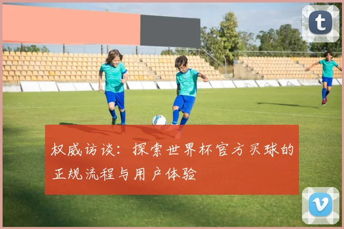 权威访谈：探索世界杯官方买球的正规流程与用户体验
