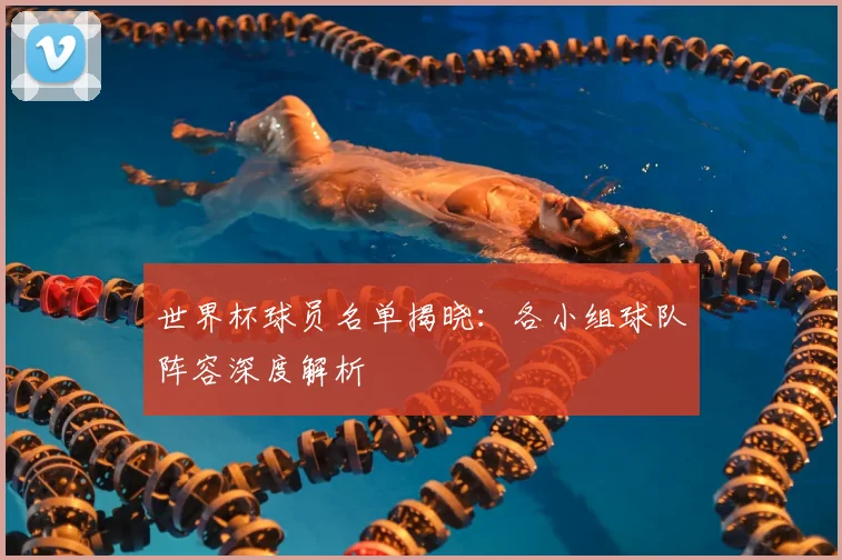 世界杯球员名单揭晓:各小组球队阵容深度解析