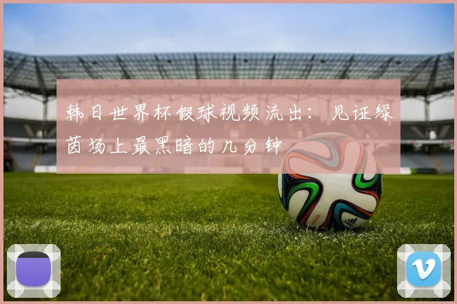 韩日世界杯假球视频流出:见证绿茵场上最黑暗的几分钟