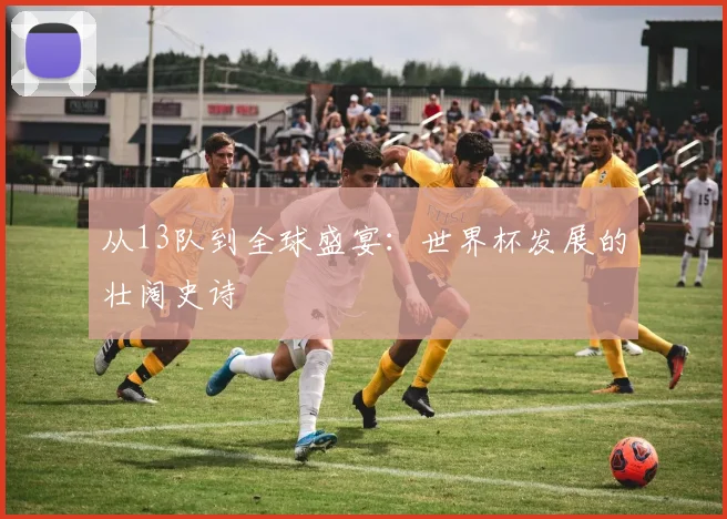 从13队到全球盛宴：世界杯发展的壮阔史诗