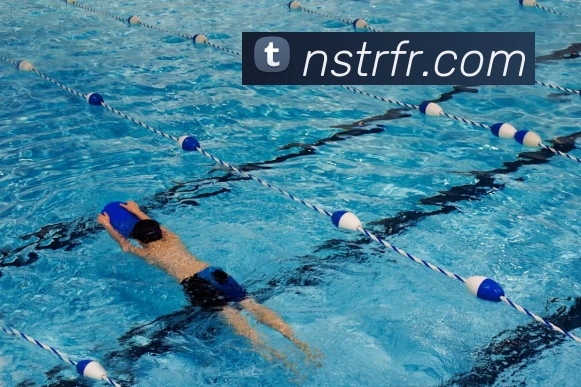 8868体育首页登录平台生态图