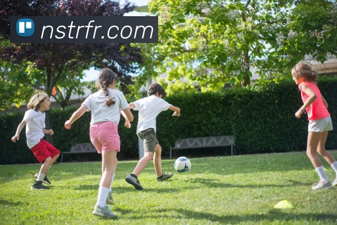 8868体育首页登录全站App